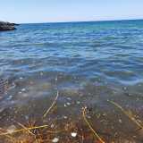 Cala Scizze, Torre a Mare: � evidente l'inquinamento della costa